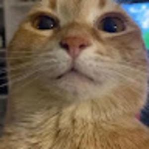 Meet your Posher, Itscupcake